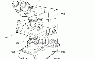�@΢���g(sh��)